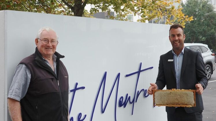 Thomas Patterson Honey HM 25